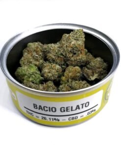souche de gâteau de gelato