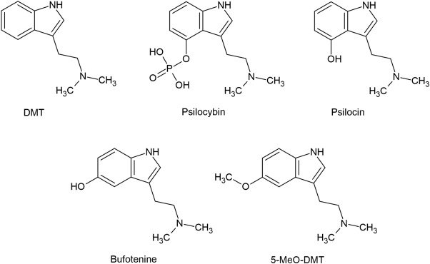 DMT vs 5 meo DMT